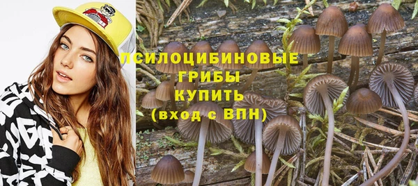 spice Баксан